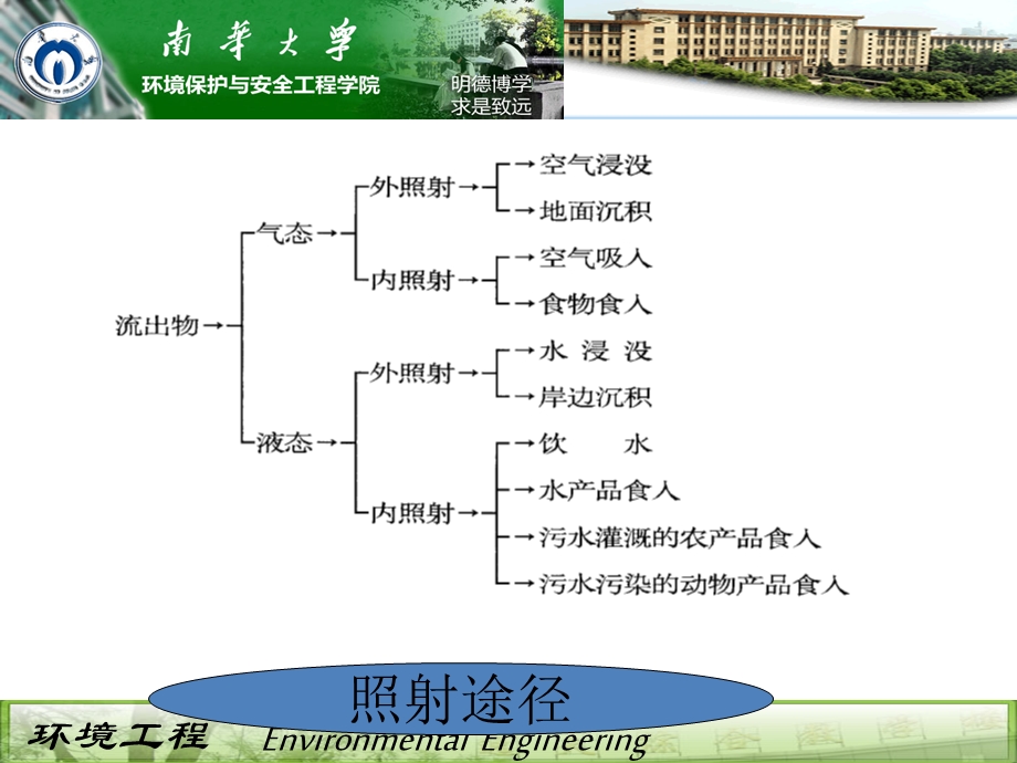 第七章-内照射的防护课件.ppt_第3页