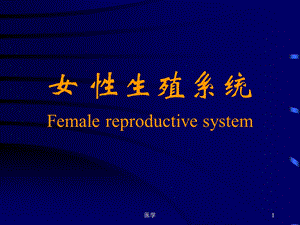 组织胚胎学女性生殖系统课件.ppt