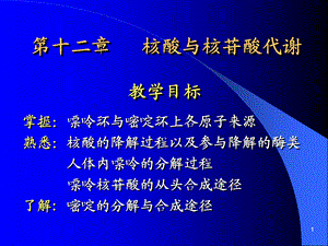 核苷酸代谢及DNA的生物合成 ppt课件.ppt