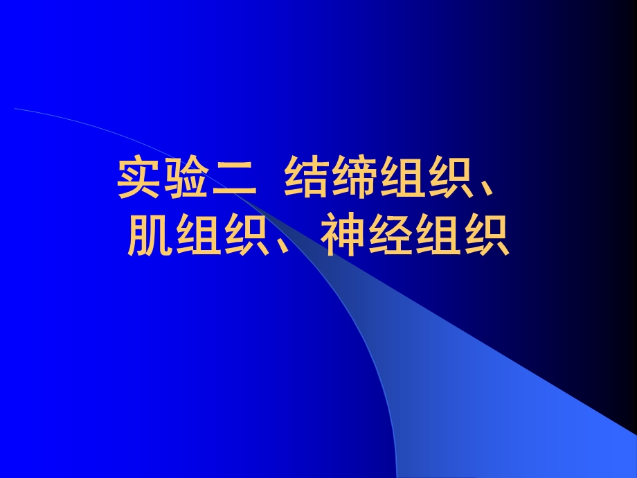 实验二结缔组织 肌组织 神经组织课件.ppt_第1页