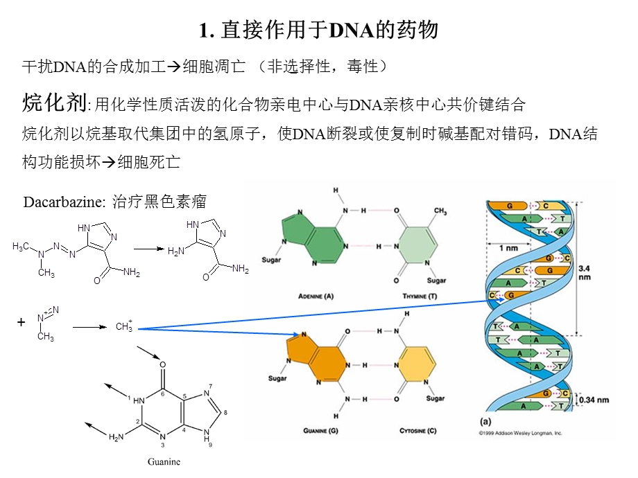 抗癌药物Anticancer drugs-课件.ppt_第3页