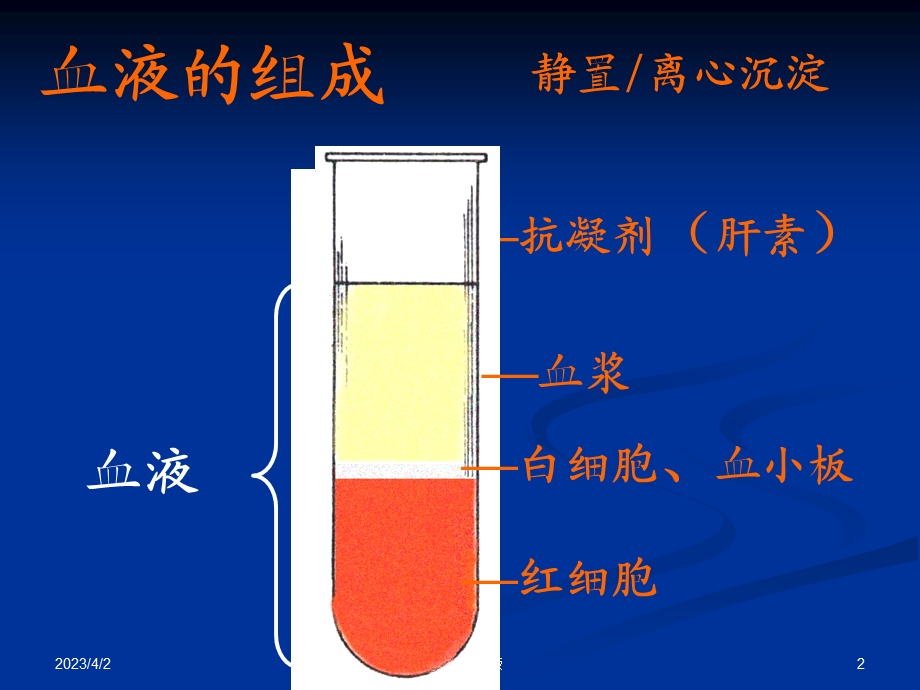 组织学与胚胎学 血液（PPT 精品）课件.ppt_第2页