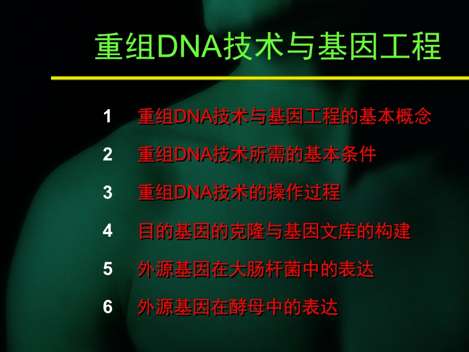 重组DNA技术与基因工程课件.ppt_第2页