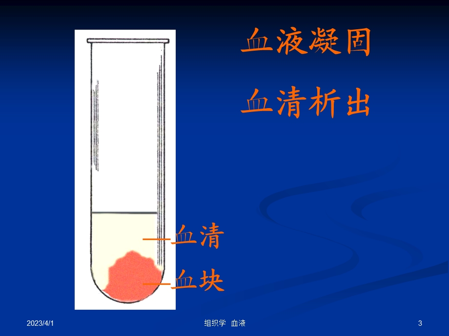 组织学与胚胎学_血液课件.ppt_第3页