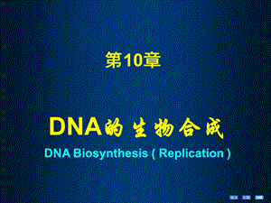 第10章DNA的生物合成(11采用)课件.ppt