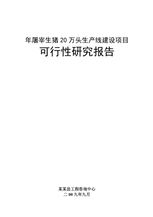 XX屠宰生猪20万头生产线建设项目可行性研究报告最终稿.doc