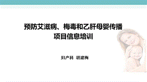 预防艾滋病梅毒和乙肝母婴传播阻断项目培训课件.ppt