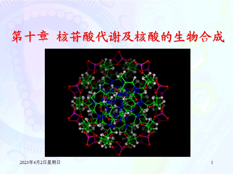 第十章核苷酸代谢及核酸的生物合成课件.ppt_第1页