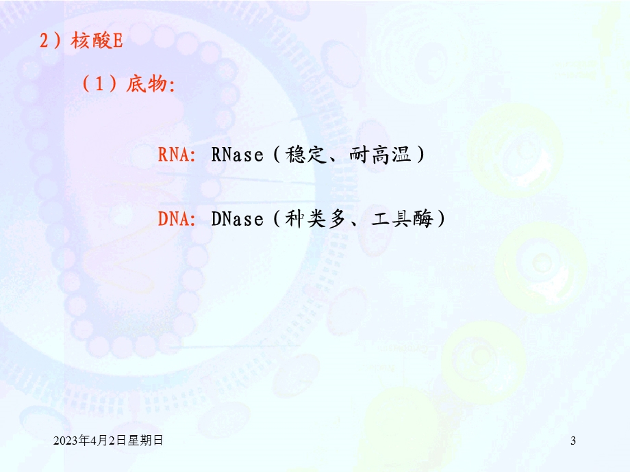 第十章核苷酸代谢及核酸的生物合成课件.ppt_第3页