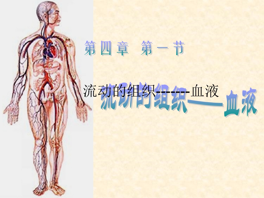 第一节 流动的组织血液 全 课件.ppt_第1页