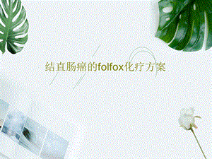 结直肠癌的folfox化疗方案课件.ppt