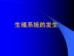 组织学与胚胎学ppt课件——生殖系统的发生.ppt