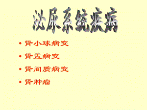 病理学ppt课件-泌尿系统疾病.ppt