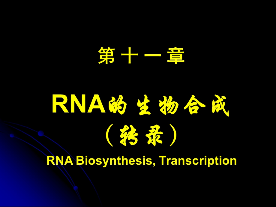 第十一章RNA的生物合成课件.ppt_第1页