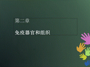 第二章_免疫器官和组织_课件.ppt