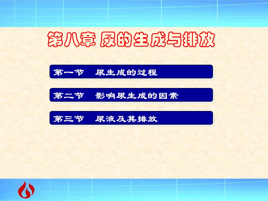 视频教学生理学第八章课件.ppt_第1页