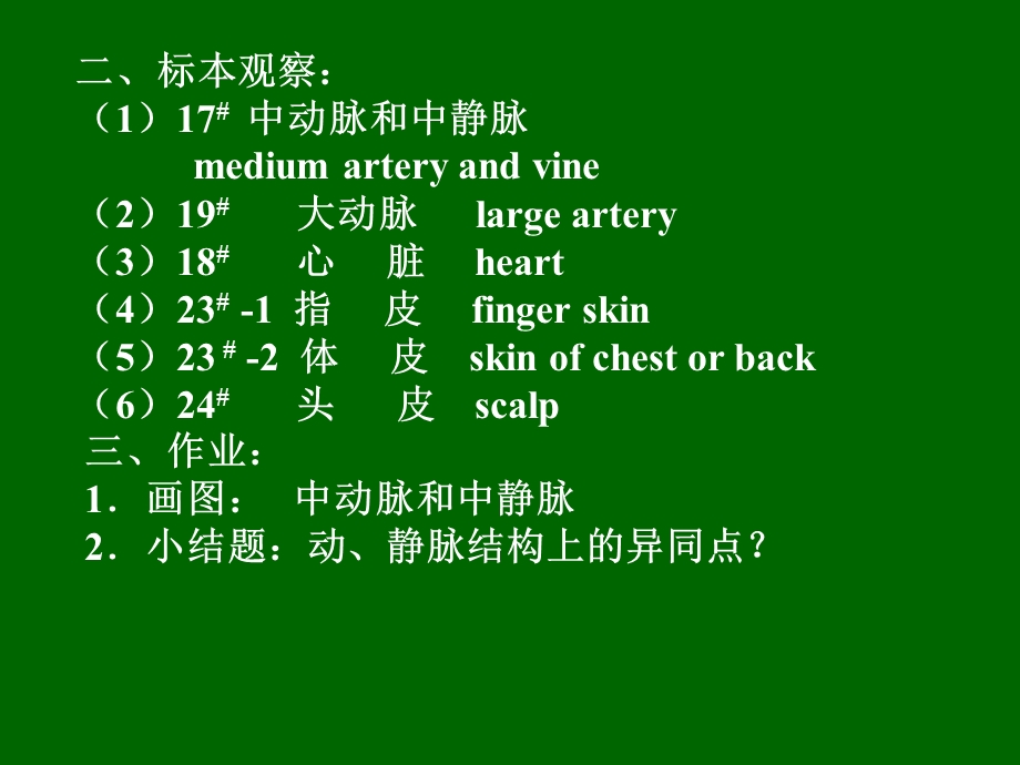 组织学与胚胎学实习六 皮肤和循环皮肤课件.ppt_第3页