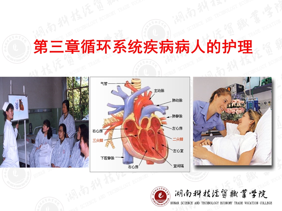 循环系统疾第六节瓣膜病病人护理 课件.ppt_第1页