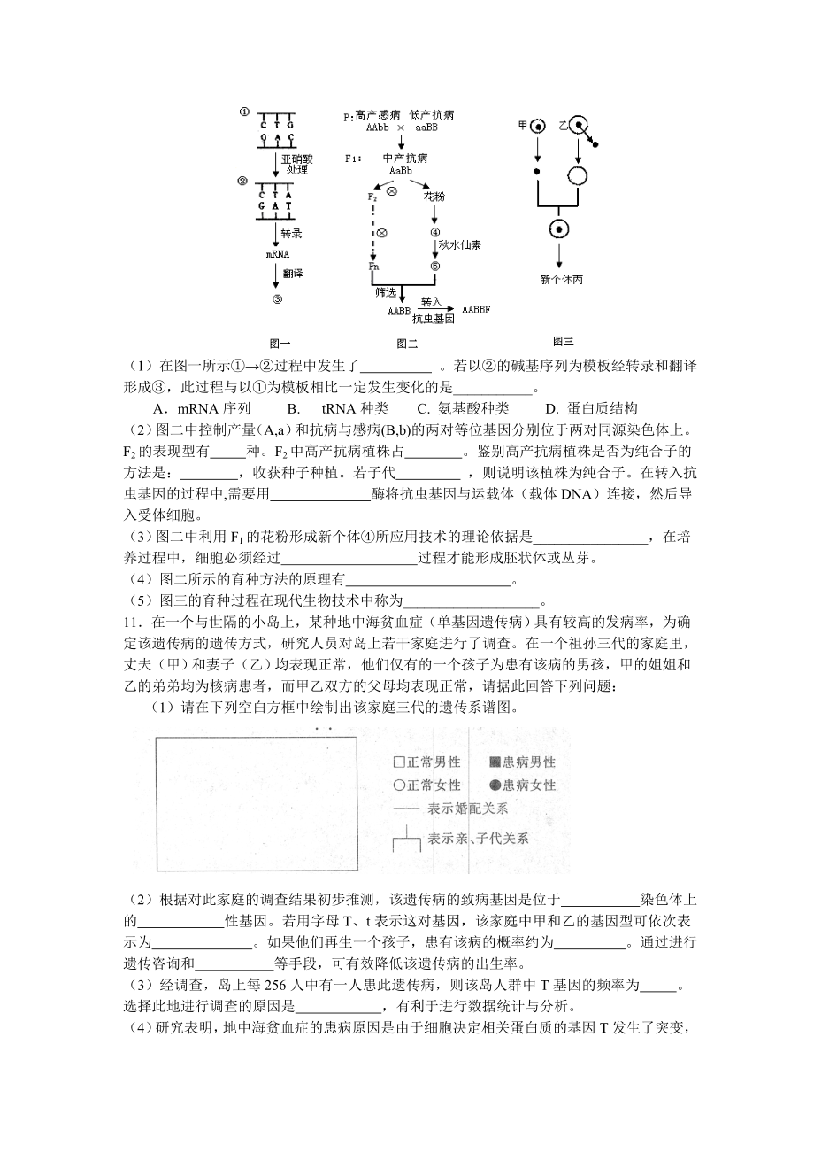 专题五 生物的变异与进化 1．在某岛屿上相互隔绝的甲、乙两个水潭中.doc_第3页