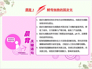 课题酵母细胞的固定化课件.ppt