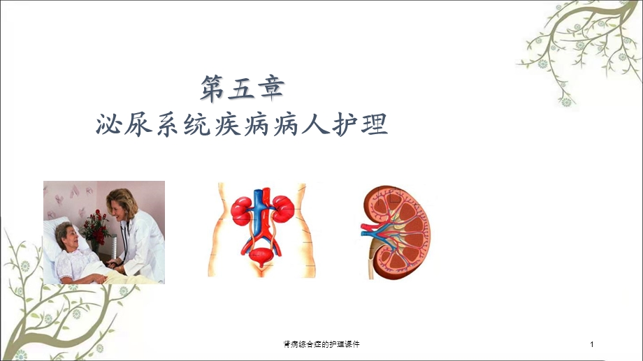 肾病综合症的护理ppt课件.ppt_第1页