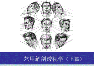 艺用解剖透视学(上篇)课件.ppt