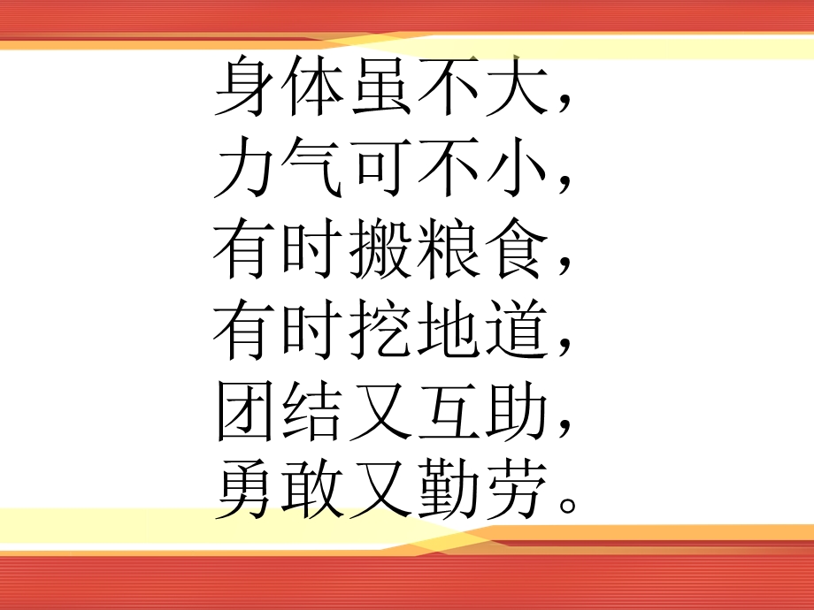 青岛版小学科学《蚂蚁》-课件.pptx_第1页