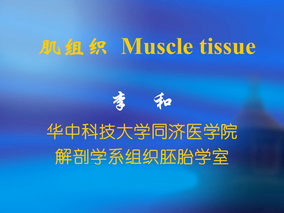 组织学与胚胎学肌组织 课件.ppt_第1页