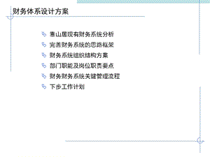 财务体系设计方案课件.ppt