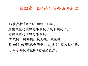 第32章rna的生物合成与加工课件.ppt