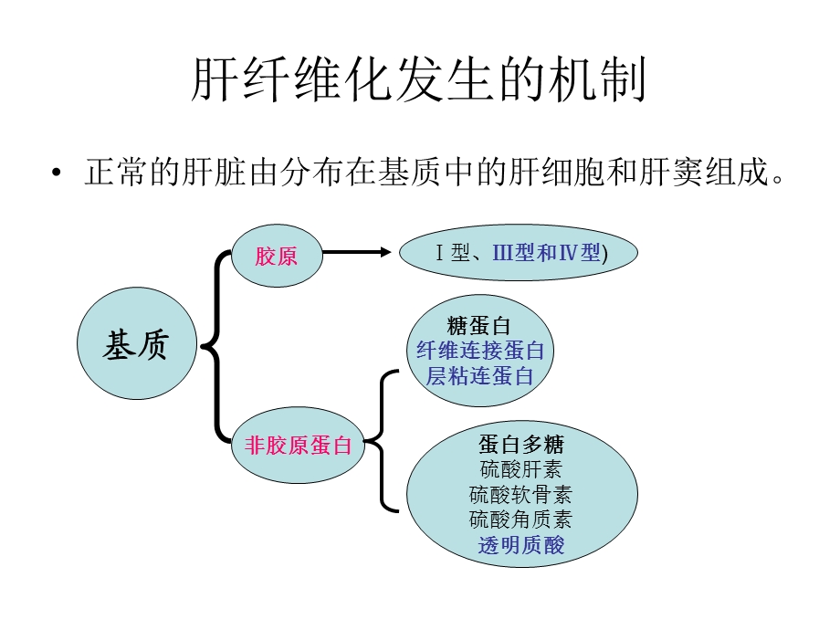 非胶原蛋白糖蛋白纤维连接蛋白层粘连蛋白蛋白多糖课件.ppt_第3页