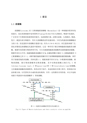 毕业论文蛋清溶菌酶的研究.doc