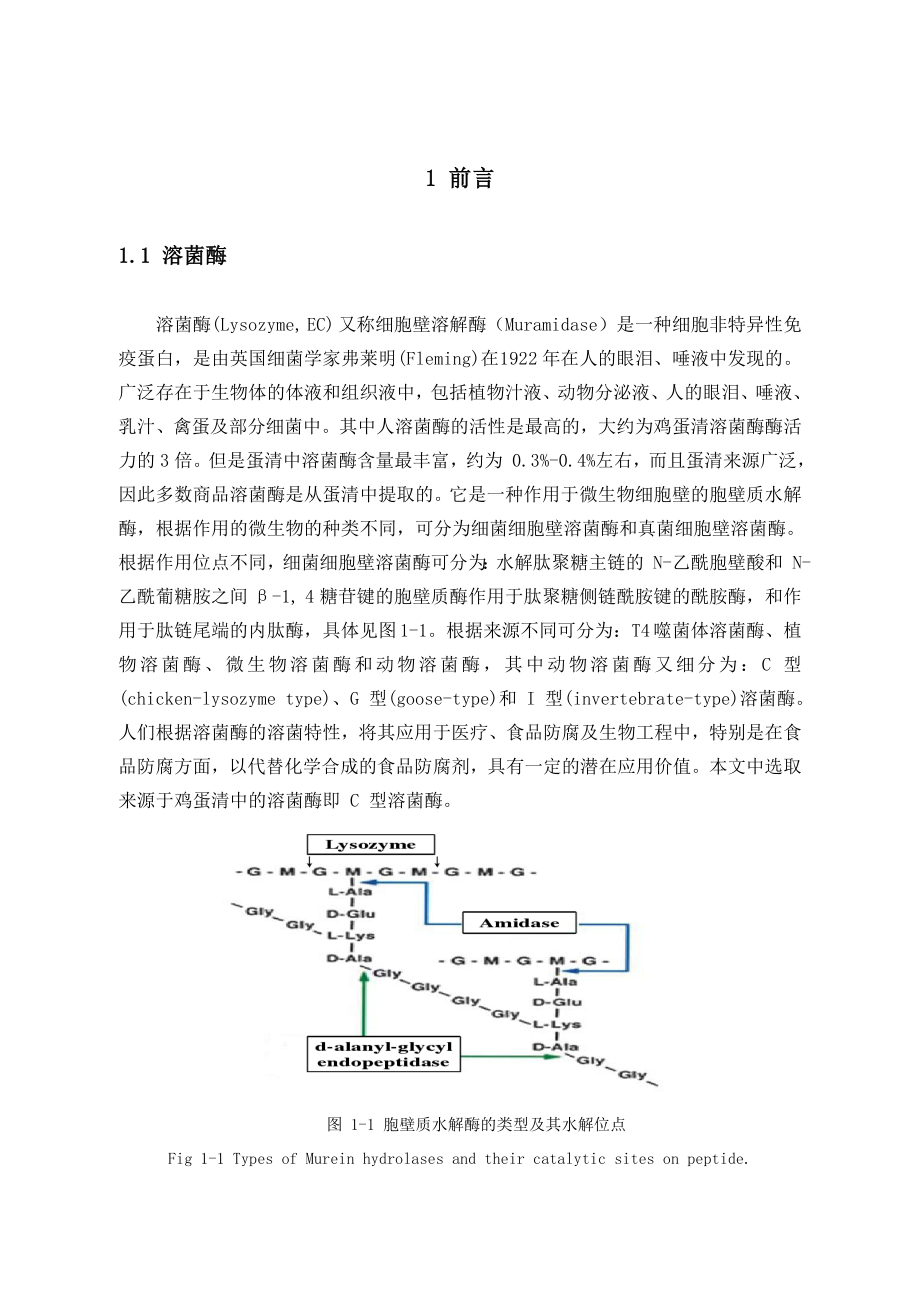 毕业论文蛋清溶菌酶的研究.doc_第1页