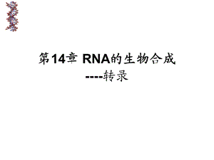 RNA的生物合成（精品PPT）课件.ppt