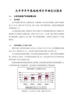 大丰市丰中某地块项目市场定位报告.doc