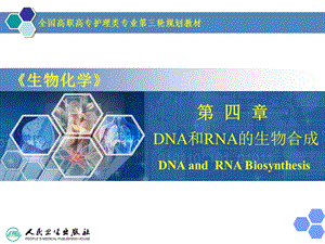 第四章 DNA和RNA的生物合成_课件.ppt