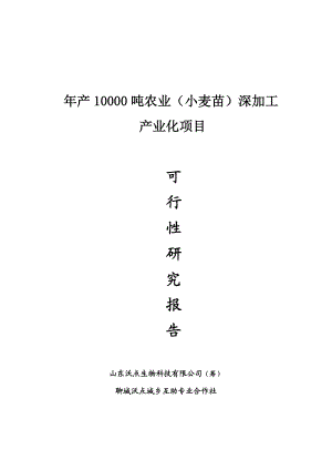 产1000吨农业(小麦苗)深加工产业化项目可行性研究报告(发改委).doc