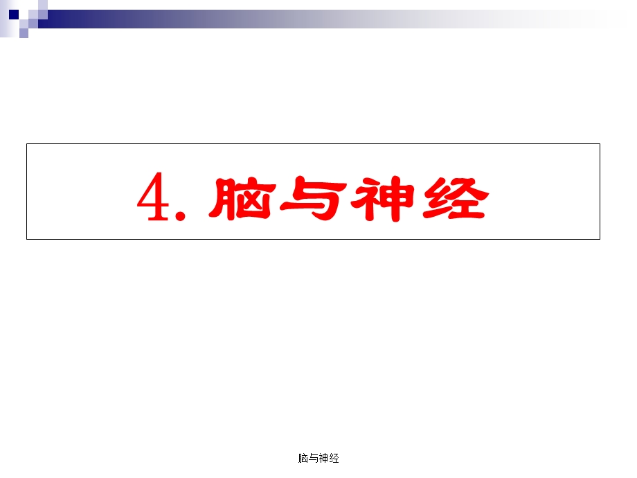 脑与神经ppt课件.ppt_第1页