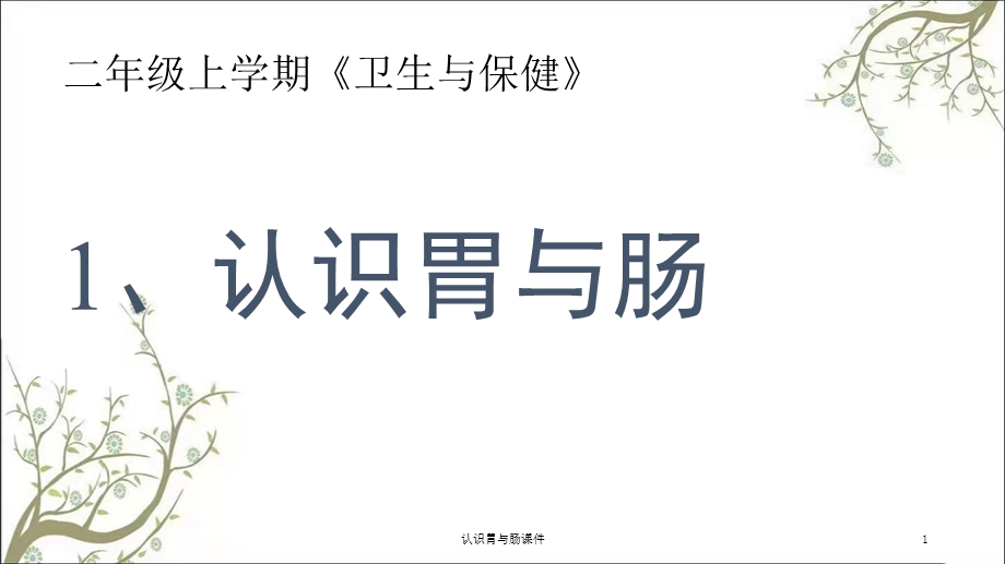 认识胃与肠ppt课件.ppt_第1页