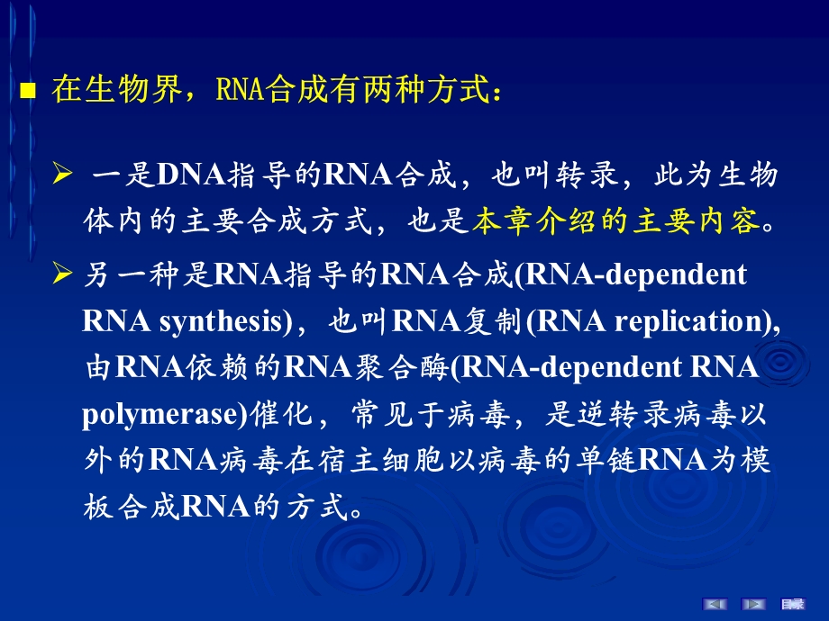 第七版生化ppt课件--第十一章 RNA的生物合成.ppt_第2页