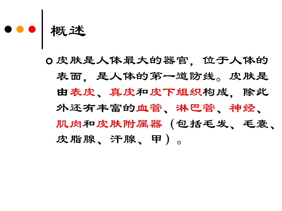 第二章皮肤的解剖和组织结构摘要课件.ppt_第2页