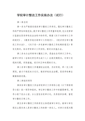 学院审计整改工作实施办法（试行）.docx