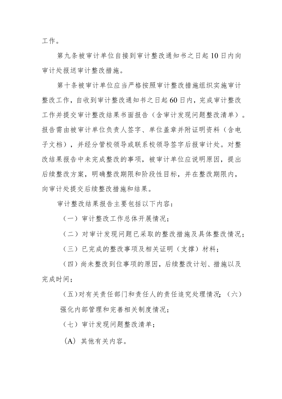 学院审计整改工作实施办法（试行）.docx_第3页