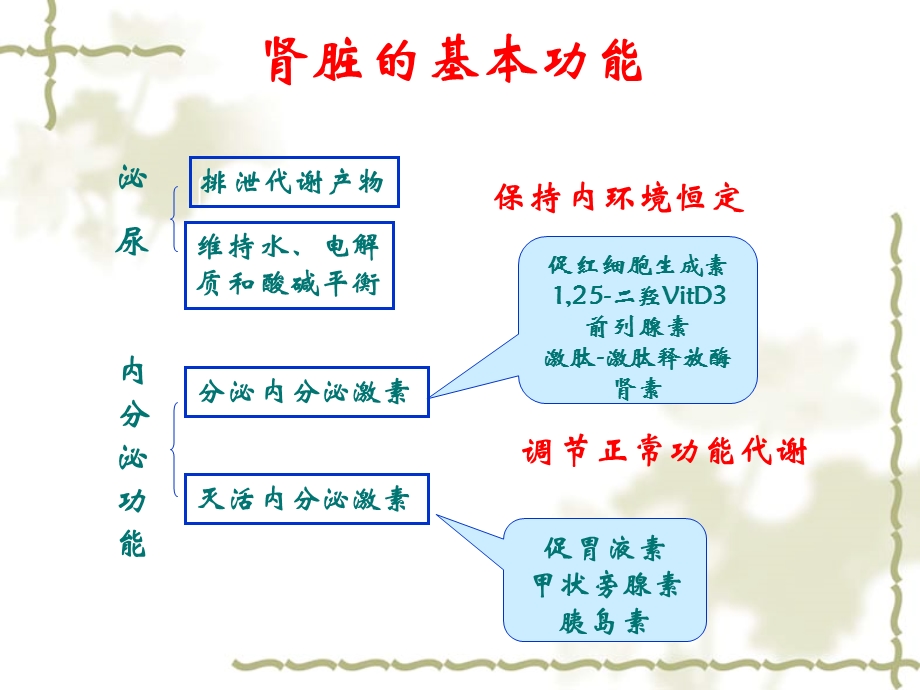 急性肾功能不全- 课件.ppt_第3页