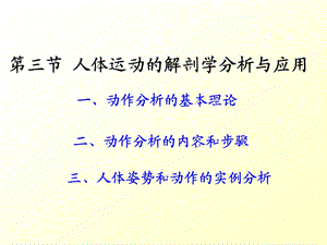 第三章 运动系统(6) 课件.ppt