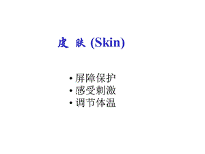 组织胚胎学 第十一章 皮肤ppt课件.ppt