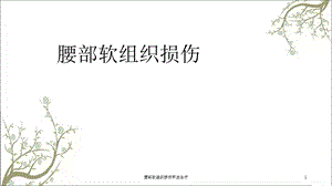 腰部软组织损伤手法治疗ppt课件.ppt