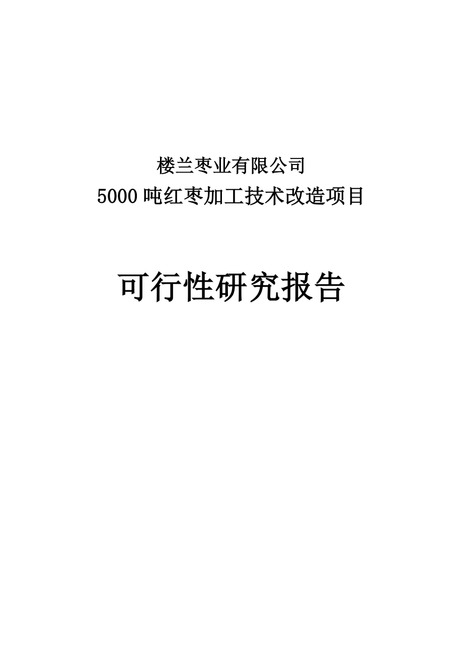 楼兰5000吨红枣加工技术改造建设项目可行性研究报告.doc_第1页