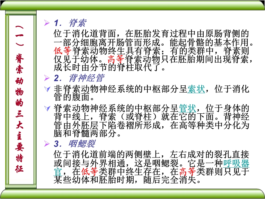 系统-器官-组织-细胞-进化论-脊椎动物课件.ppt_第2页