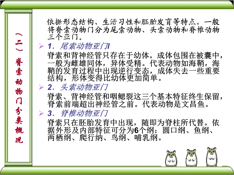 系统-器官-组织-细胞-进化论-脊椎动物课件.ppt_第3页